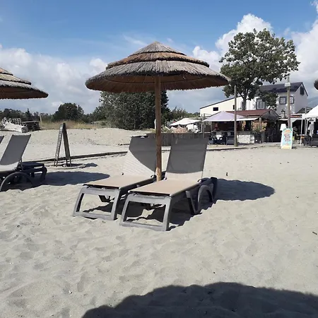 Corse-san Giuliano-maison- 2 Mn De La *